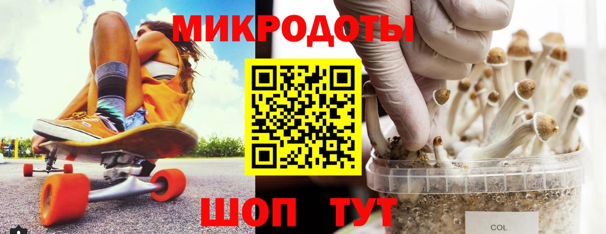 Псилоцибиновые грибы GOLDEN TEACHER  Вход с VPN  Александров 
